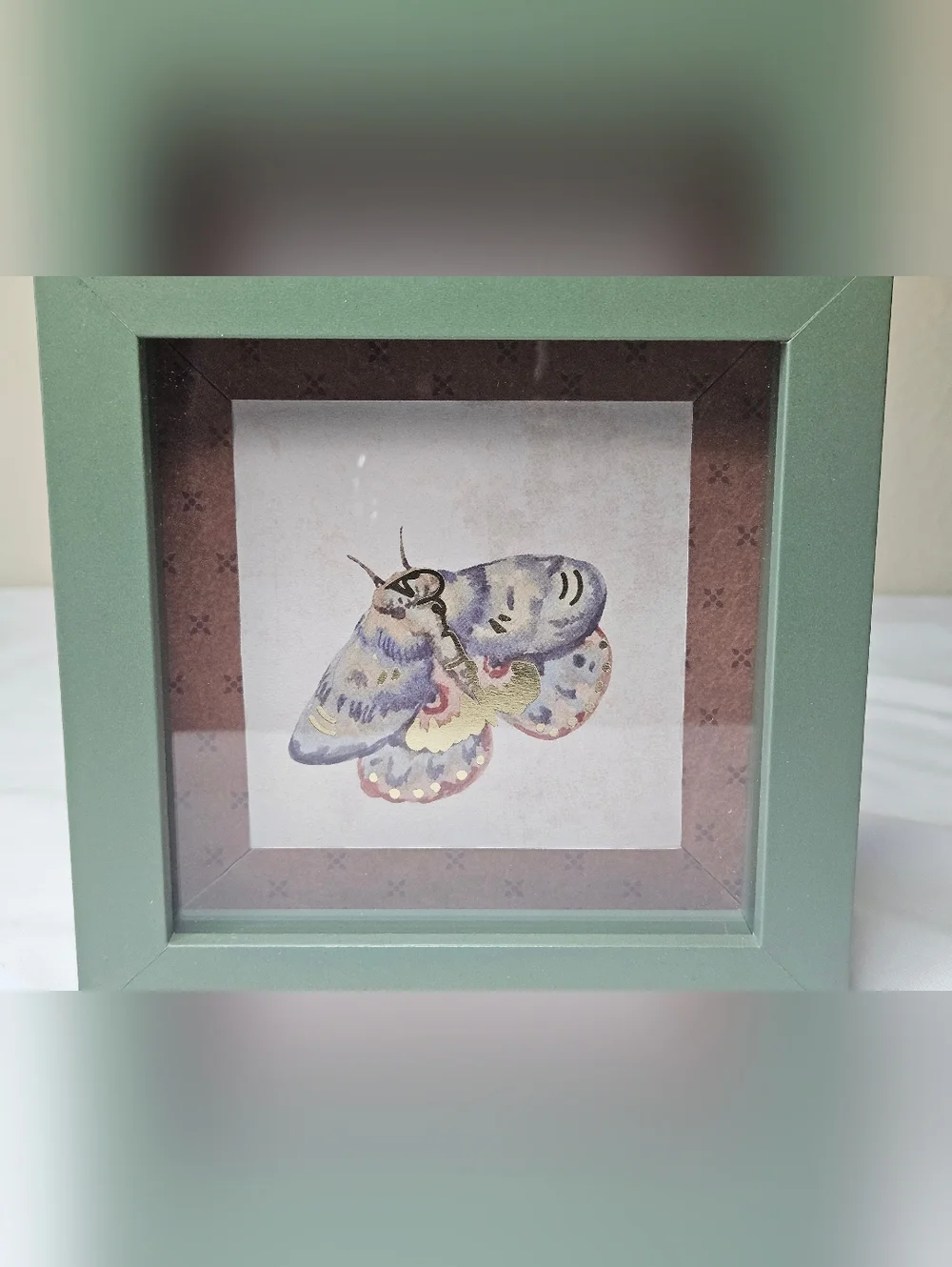 Moth Shadow Box Wall Art - Handcrafted - Picture 1 of 5